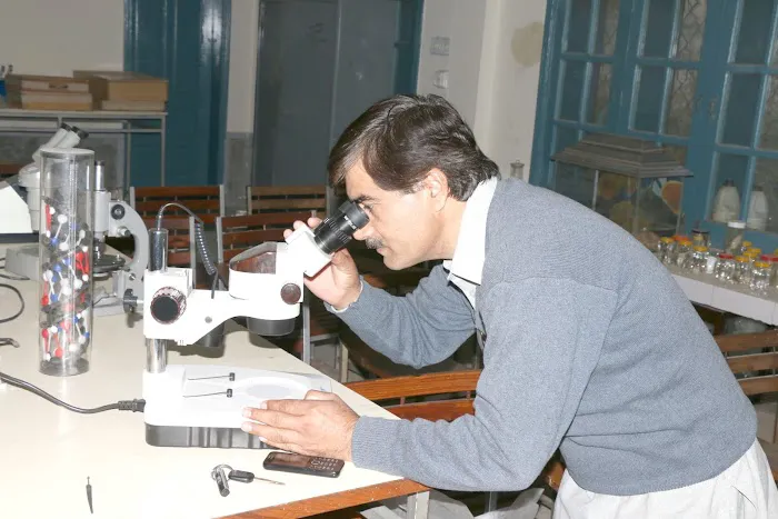 Department of zoology GPGC DARGAI Picture 5