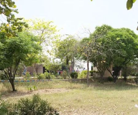 Govt Degree College Boys Pindi Bhattian