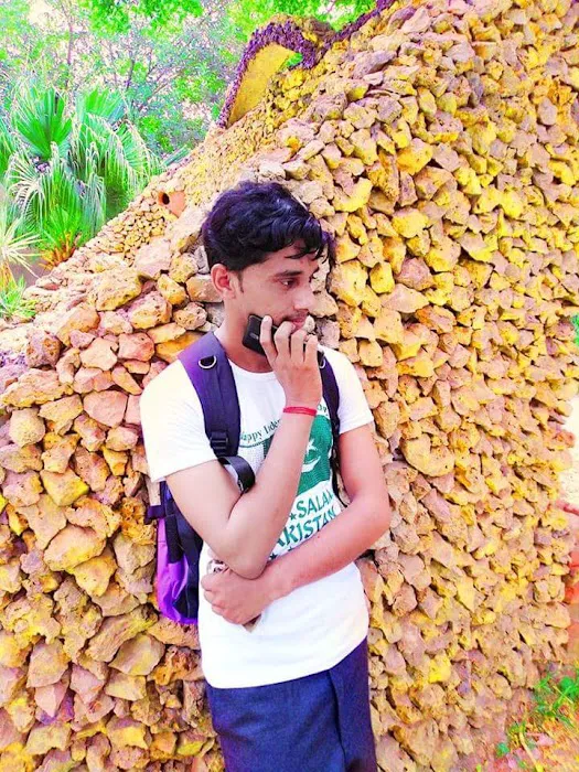 Govt Degree College Boys Pindi Bhattian Picture 9