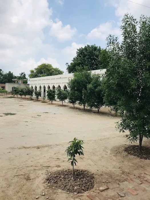 Sultan-ul-Madaris, Sargodha,Punjab,Pakistan Picture 8