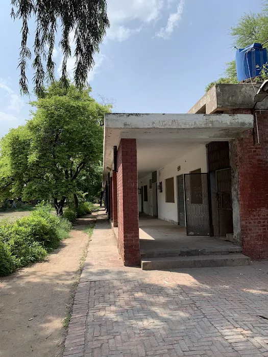 Government Ambala Muslim Graduate College Picture 4