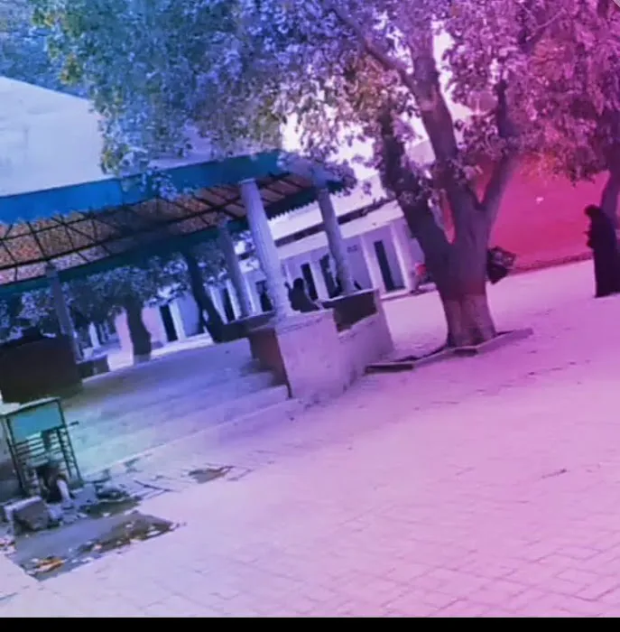 Government Degree College for Women, Sargodha Picture 6