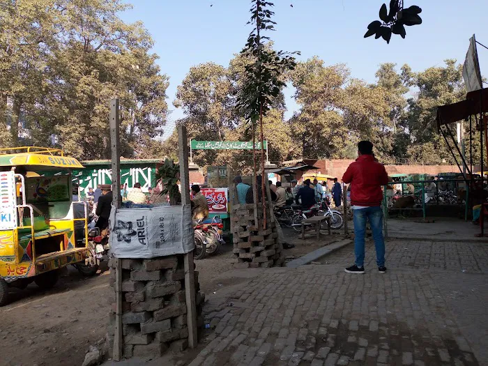 Government Degree College for Women, Sargodha Picture 3