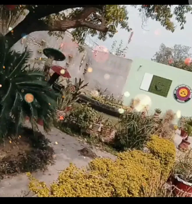 Government Degree College for Women, Sargodha Picture 9
