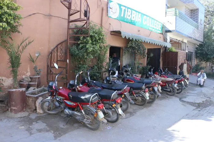 Tibbia College Sargodha Picture 4