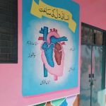 Shaheen public school Randhawa Colony