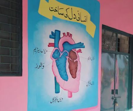 Shaheen public school Randhawa Colony