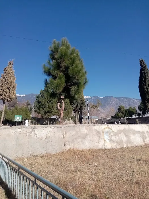Government College Of Management Science Parachinar Picture 3