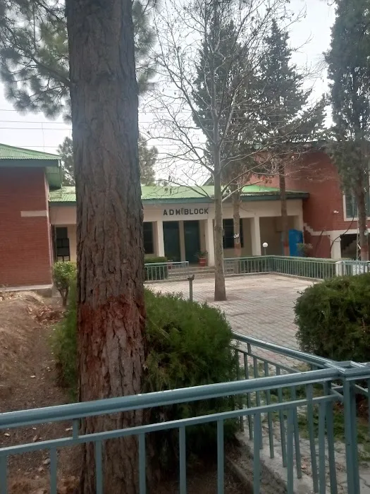 Government College Of Management Science Parachinar Picture 4