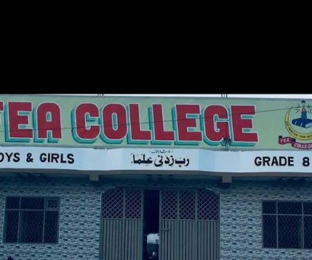 FEA College
