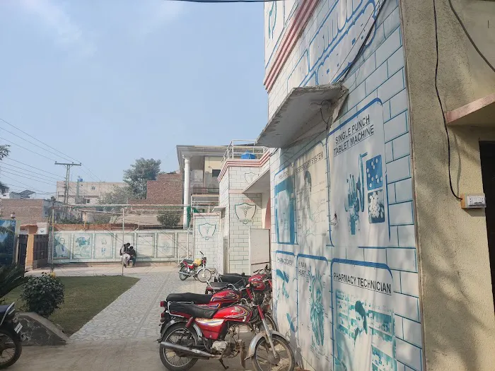Hamza College of Health Sciences Sargodha Picture 1