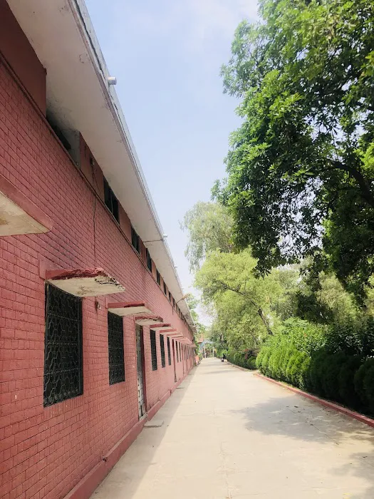 Govt Postgraduate College Hafizabad Picture 1