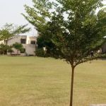Govt Post Graduate College for Women