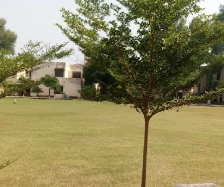 Govt Post Graduate College for Women