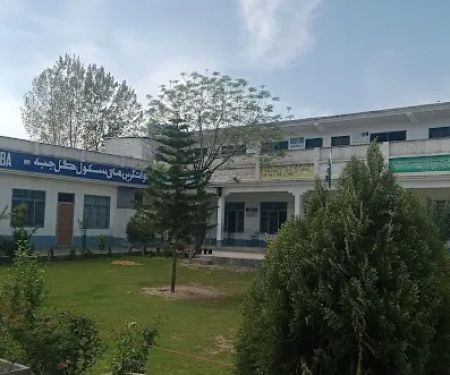 Swat Green High School