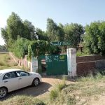 Govt High School Maddi Khel