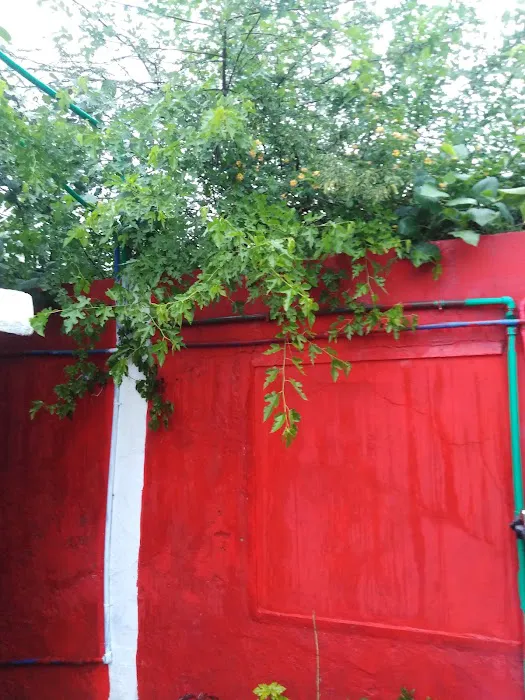 Abdul Latif house Picture 2