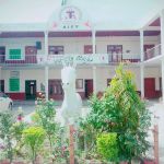 American International college of Technology Ali pur Chatha