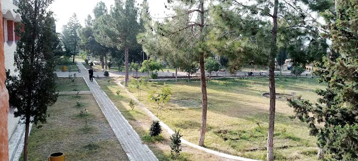 Government Post Graduate College Picture 5