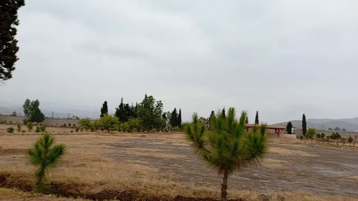 Government Degree College Miranshah Picture 6