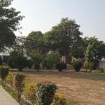 Government Primary School (Boys)