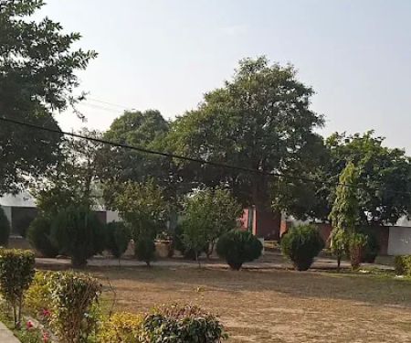 Government Primary School (Boys)