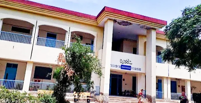 University of Sargodha Picture 4
