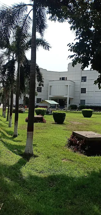 University of Sargodha Picture 9
