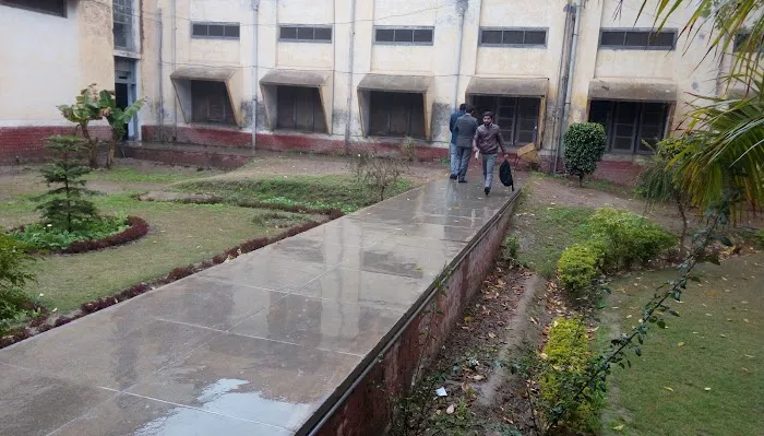 Department of Botany - UOS Picture 3