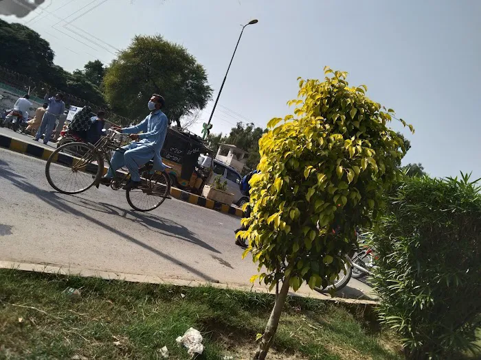 PAF College Sargodha Picture 4