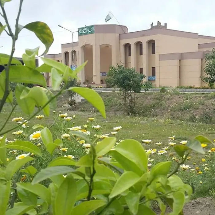 Govt Boys Degree College Jandanwala Picture 7