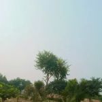 Govt Degree College for Women Rangpur Baghoor Khushab