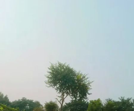 Govt Degree College for Women Rangpur Baghoor Khushab