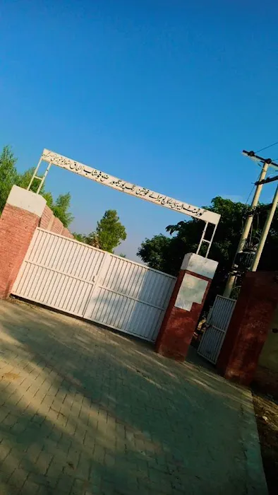 Govt Degree College for Women Rangpur Baghoor Khushab Picture 3