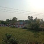 Govt primary school