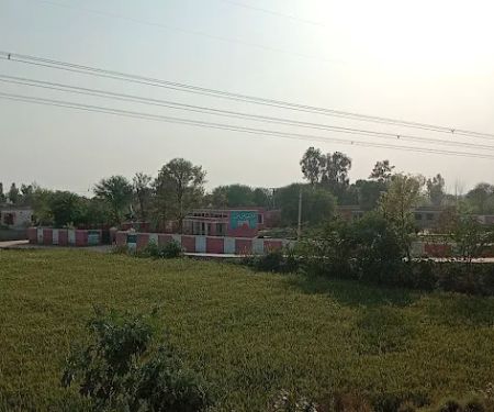 Govt primary school
