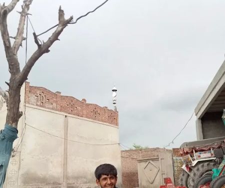 Govt Primary School Shahpur Bhattian