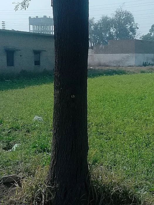 Army College of Veterinary Sciences Picture 2