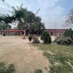 Govt Boys Elementary School Chak 65 SB