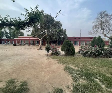 Govt Boys Elementary School Chak 65 SB
