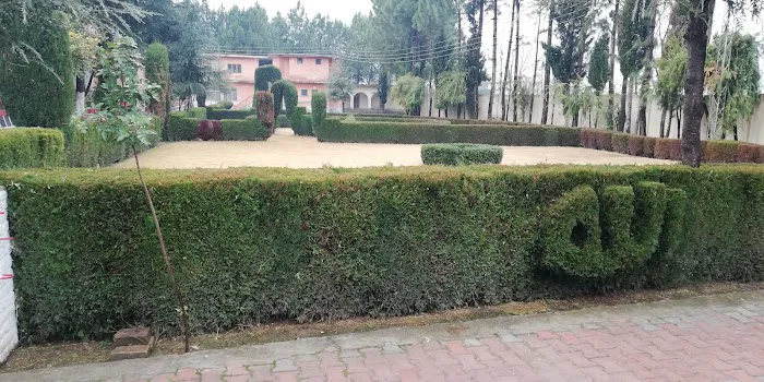 Government College of Management Sciences Sangota Swat Picture 9