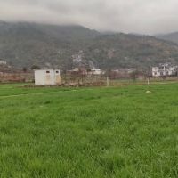 Jarbat Banda ico