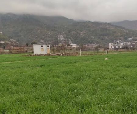 Jarbat Banda