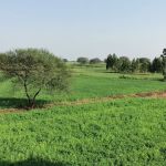 Govt Boys Primary School Katwaar