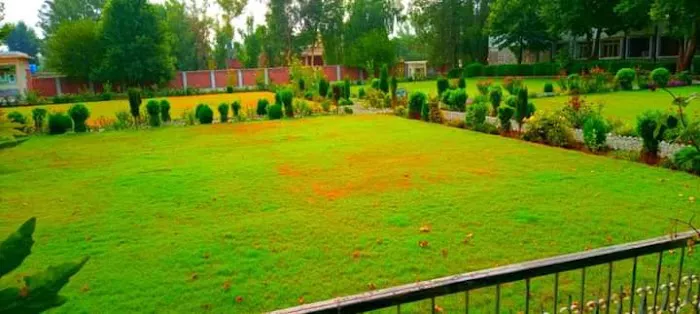 Government College Of Management Sciences Khar Bajaur گورنمنٹ کالج آف منیجمنٹ اینڈ سائنسز خار باجوڑ Picture 1