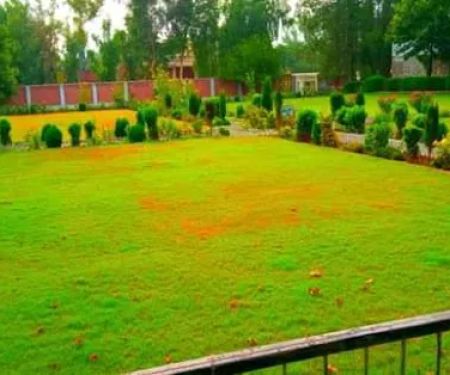 Government College Of Management Sciences Khar Bajaur گورنمنٹ کالج آف منیجمنٹ اینڈ سائنسز خار باجوڑ