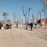 Govt Girls Primary School Jahanian