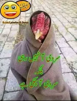 GGHS No2 Saidu Sharif Swat Picture 7