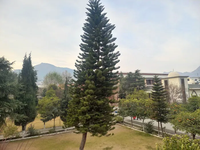 Saidu College of Dentistry Picture 5
