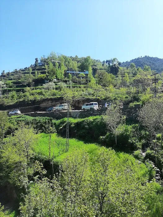 GPS Shingray Manglor swat Picture 4